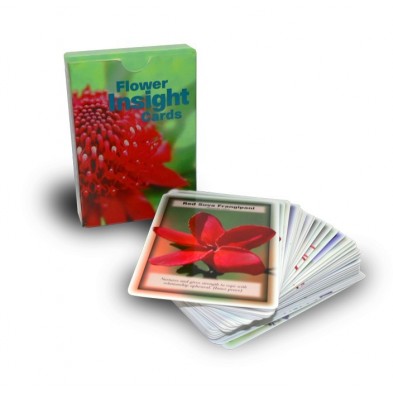 Cartas de Bush