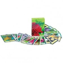 Cartas Flores de Bach