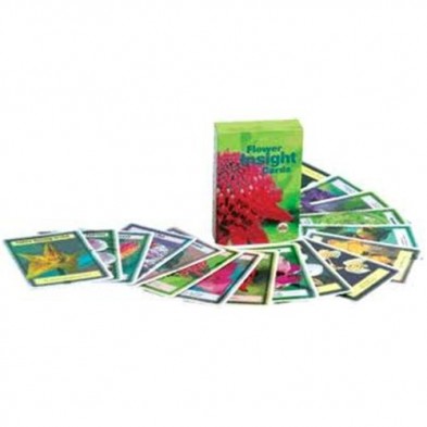 Cartas de Bush