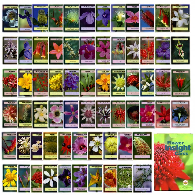 Cartas Flores de Bach