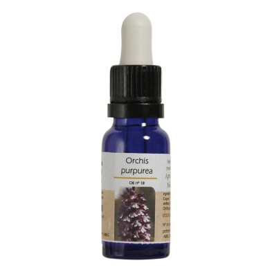 Orchis Purpurea