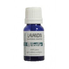 Aceite esencial de LAVANDIN
