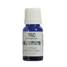 Aceite esencial de PINO