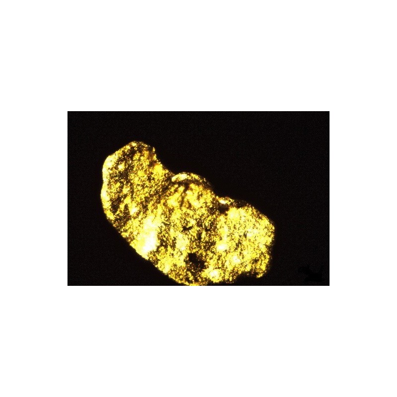 Esencia de Oro