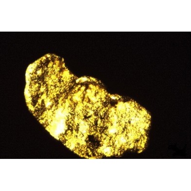Esencia de Oro