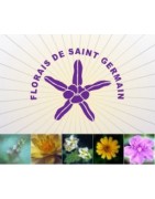 Esencias Florales de Saint Germain