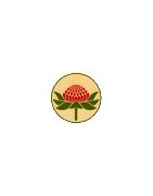 Esencias Florales de Bush