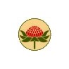 Esencias Florales de Bush