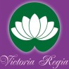 Victoria Regia